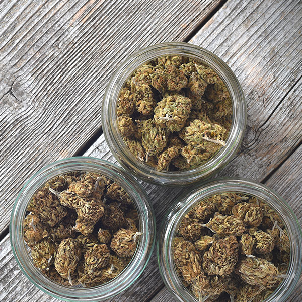 Three small jars of cannabis flower on a wooden background.